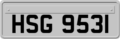 HSG9531