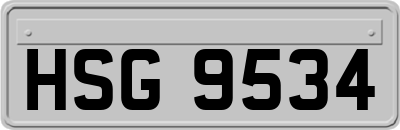 HSG9534