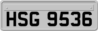 HSG9536