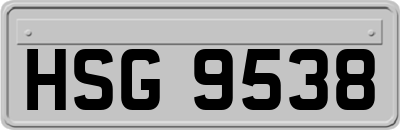 HSG9538