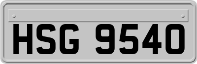 HSG9540