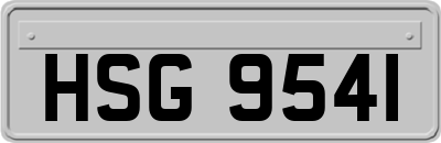 HSG9541