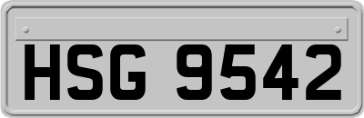 HSG9542