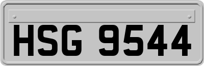 HSG9544