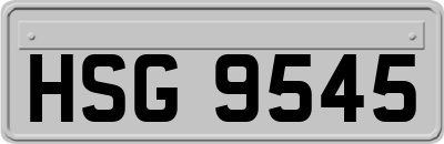 HSG9545