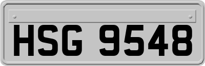 HSG9548