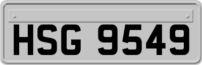 HSG9549