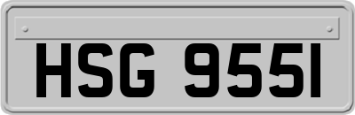 HSG9551
