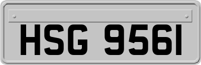 HSG9561