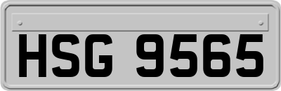 HSG9565