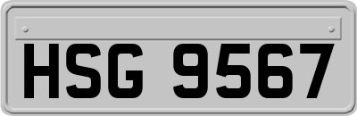 HSG9567