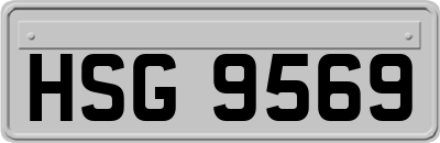 HSG9569