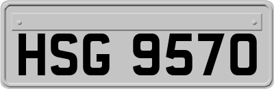 HSG9570