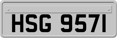 HSG9571