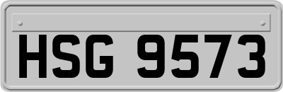 HSG9573