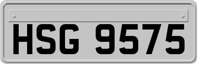 HSG9575