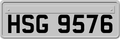 HSG9576