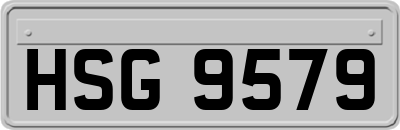 HSG9579