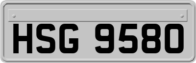 HSG9580