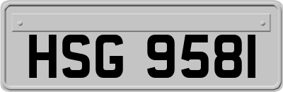 HSG9581