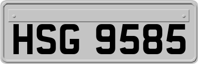 HSG9585