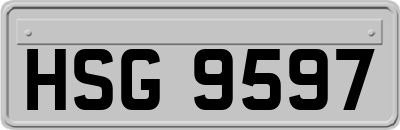 HSG9597