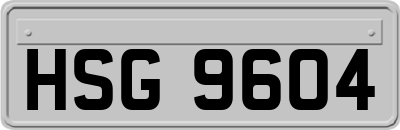 HSG9604