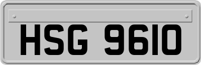 HSG9610