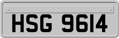 HSG9614