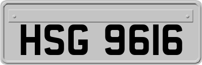 HSG9616