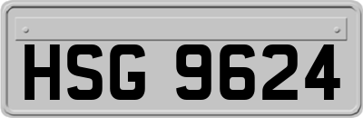 HSG9624
