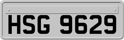 HSG9629