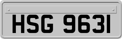 HSG9631