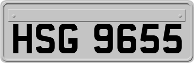 HSG9655