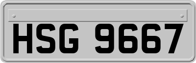 HSG9667