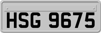 HSG9675