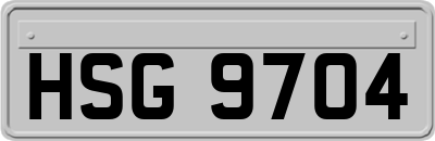 HSG9704