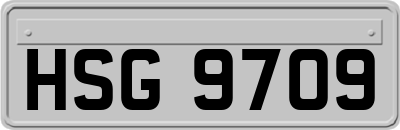 HSG9709