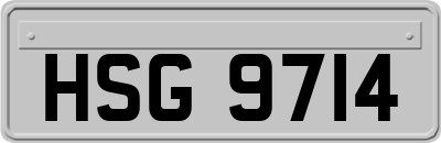 HSG9714