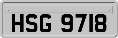 HSG9718