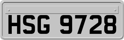 HSG9728