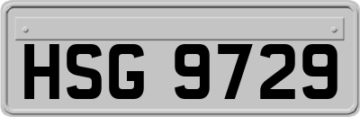 HSG9729
