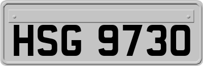 HSG9730