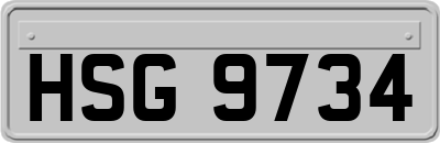 HSG9734