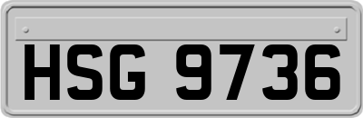 HSG9736