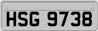 HSG9738