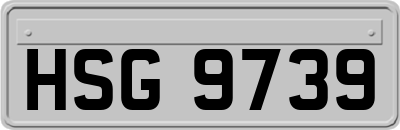HSG9739