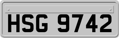 HSG9742