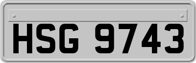 HSG9743