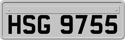 HSG9755